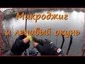 21.11.2017. Закрытие сезона, микроджиг, ленивый окунь. 21.11.2017. Закрытие сезона, микроджиг, ленивый окунь.