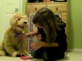 Biscuit My Lovin' Pup Demonstration - Part 2