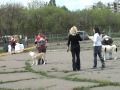 на звание "Надежда Национального Клуба".<br 