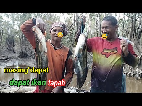 mencari ikan di air surut