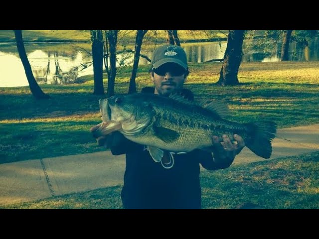 Watch Ask an Angler: Virtual Fishing Course (Spawning Bass Fishing Tips) on YouTube.