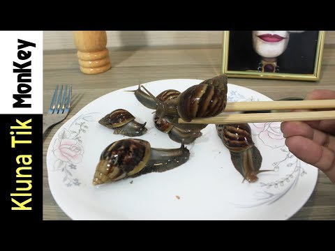 Ăn Óc Sên Sống - Kluna Tik Monkey Dinner - Video #99