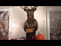 Bou's Halloween: DIY endangered species costume