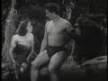 Montage - Tarzan's Revenge (1938)