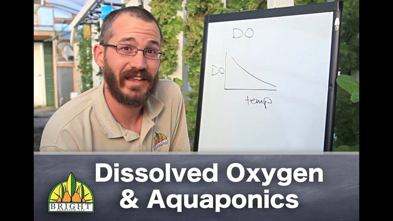 Aquaponics &amp; Dissolved Oxygen: The Basics - YouTube