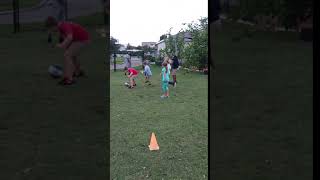Sharks & Minnows