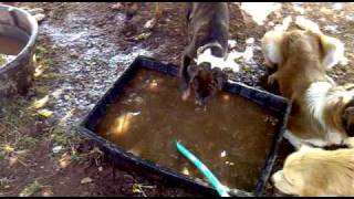 Watch James Watering Hole video