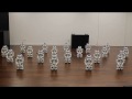 Aldebaran Robotics Nao Robot Show .mp4