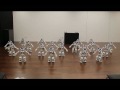 Aldebaran Robotics Nao Robot Show .mp4