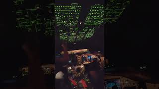Awesome 787 Pit