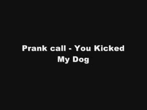 you kick my dog prank call you kick my dog prank call