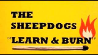 Watch Sheepdogs You Discover video