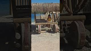 Yabadabadaba Duuuuu Taş Devri Arabası Sürdüm - The Flintstones