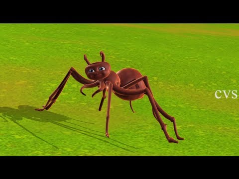 Itsy bitsy spider | Incy wincy spider - 3D Animation English...
