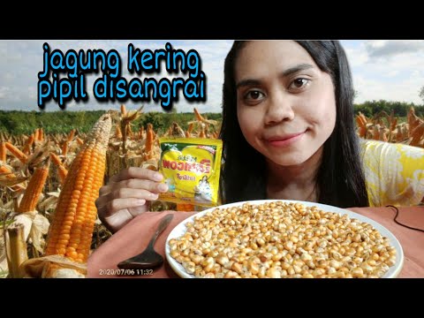 Mukbang jagung kering pipil sepiring mix susu dancow bubuk  || asmr popcorn extreme