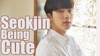 Seokjin Being Cute