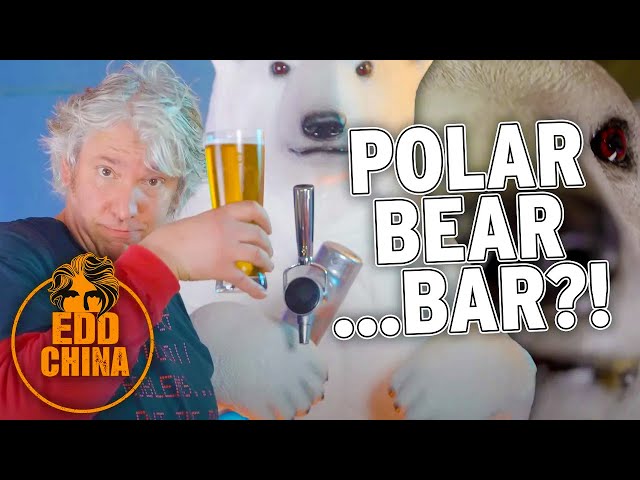 Watch I made a BAR out of a POLAR BEAR | Workshop Diaries | Edd China on YouTube.
