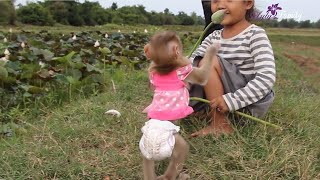Hailey Step To Received Lotus Flower From One Family Visitor
