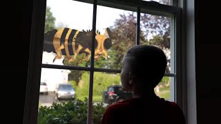 Nerf War: Flying Bug Attack 3 (Twin Toys)