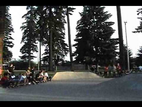 Toy Machine Videodrone Oddity 5