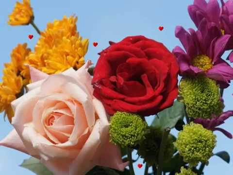 ye main ne soch liya song