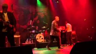 Watch Screeching Weasel The First Day Of Summer video