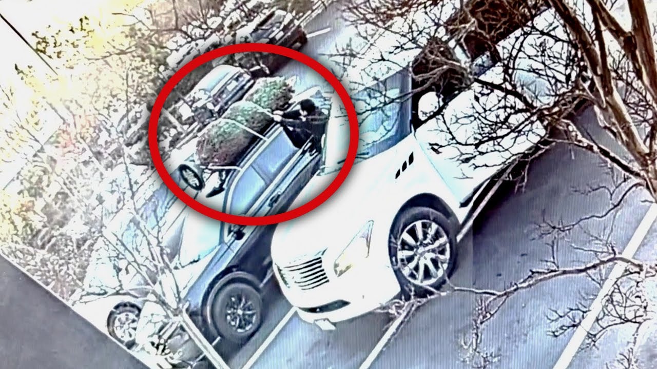 Suspects steal Christmas tree California car Video Thumbnail