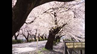 Kokoro Nokori心のこり 細川たかし カラオケ ジョージ Kokoro Nokori心のこり 細川たかし カラオケ ジョージ