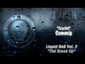 Liquid Drum and Bass - Vol. 3 - "The Break Up" - March 2013