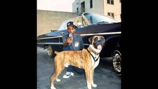 Watch Snoop Dogg We Some Dogs video