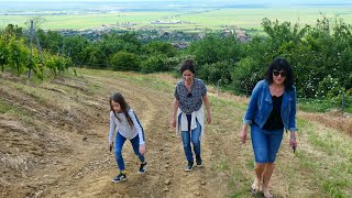 Feentour auf dem Paulischer Berg / Teil 2 / Mandelbaum und Stokraitl