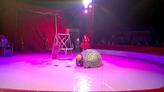 Lottie Jones Little Shelford Circus Fantasia Bishop Stortford
