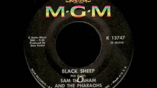 Watch Sam The Sham  The Pharaohs Black Sheep Single Version video
