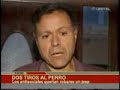 Un perro defiende a su dueña cuando la quisieron atracar. | BOLIVIA-RED.COM |