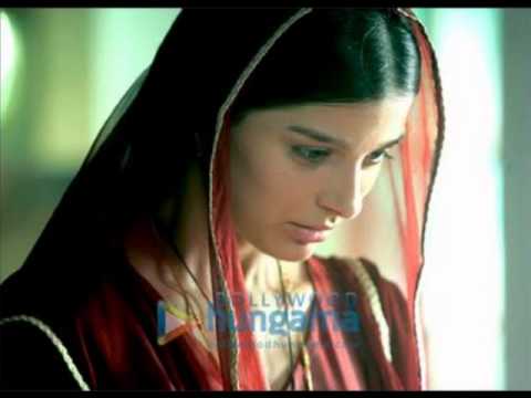 Kabootri sippy gill