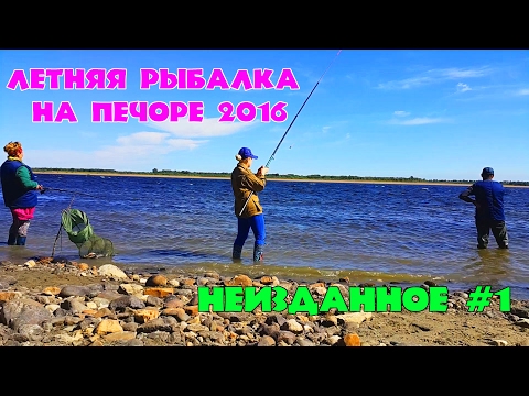 рыбалка клев река печора хариус рыбалка клев река печора хариус