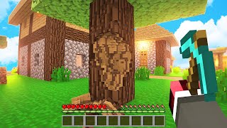 Feri̇ted Vs Gerçek Hayat Köy - Minecraft
