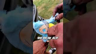 Korkunç Oyuncağın İçinden Sürpriz Çıktı..