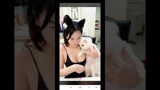 Palmiier Bigo Thai Beauty 1-4