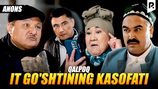 Qalpoq - It Go'shtining Kasofati (Anons)