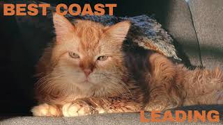 Watch Best Coast Leading video