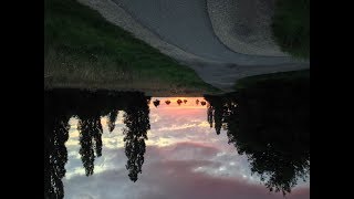 Watch On Thorns I Lay A Sparrow Dances video