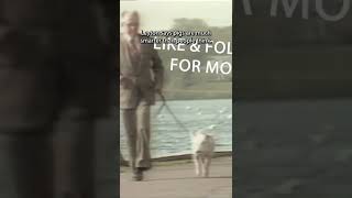 1984 Rudy, The Pig Who Wants To Be A Dog