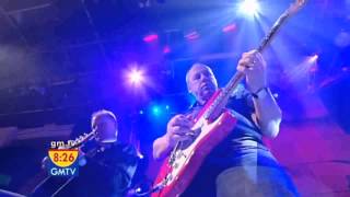 Watch Mark Knopfler Punish The Monkey video