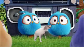 Angry Birds Blues Ytp