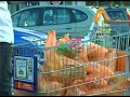 Secret Halal Meat Scandal images Secret Halal Meat Scandal