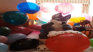 Popping Belbal 14 Balloons And Few Others Old Video