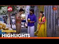 Vanathai Pola - Highlights | 20 April 2024 | Tamil Serial | Sun TV