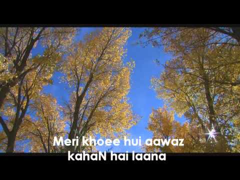 Salman Alvi - Apni Soi Hui Dunya.wmv