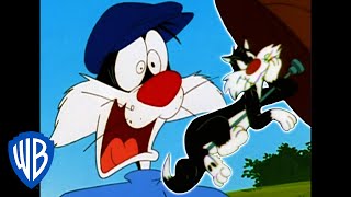 Looney Tunes Best Of Sylvester Wb Kids